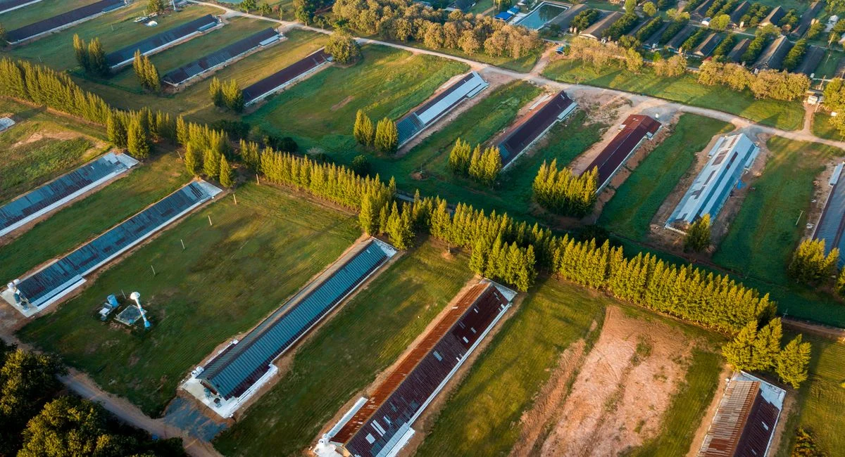 Aerial shot of rural farmland with green fields and farm buildings in daylight.
